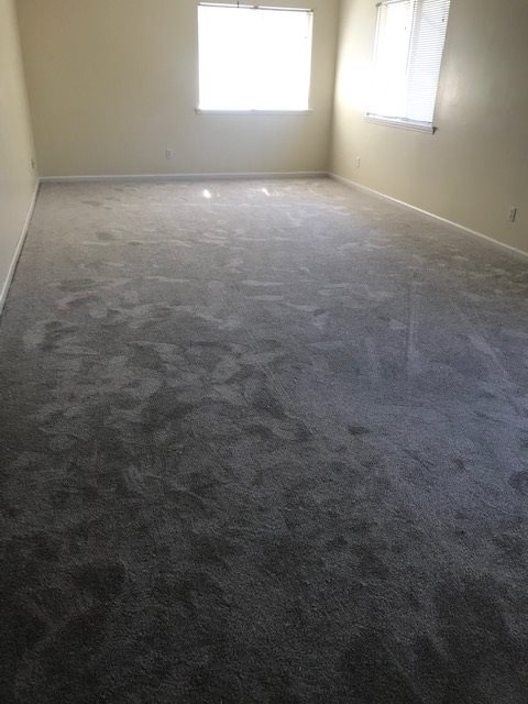 Gallery Photo 4